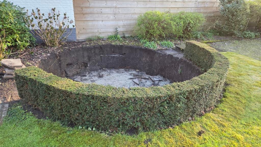 Taxushaag 7,5m lang, 50cm hoog, 20-23cm breed, Tuin en Terras, Planten | Struiken en Hagen, Ophalen, Taxus, Haag, Minder dan 100 cm