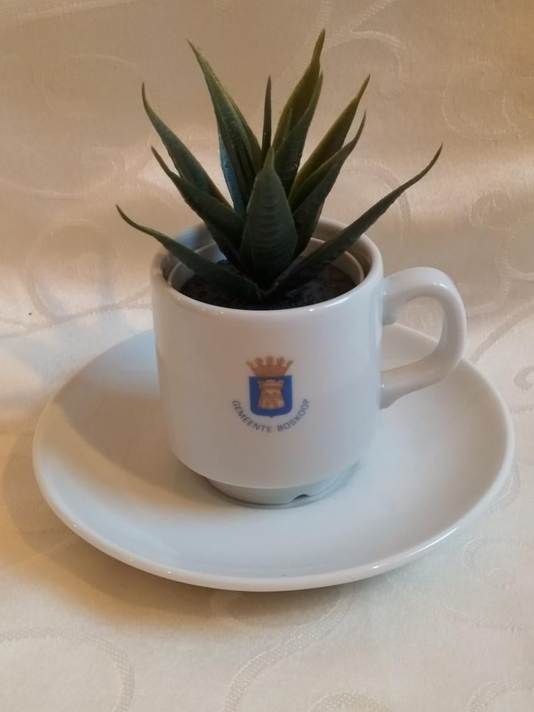 Boskoop Gemeente kop en schotel wapen Mosa Holland, Ophalen of Verzenden, Zo goed als nieuw