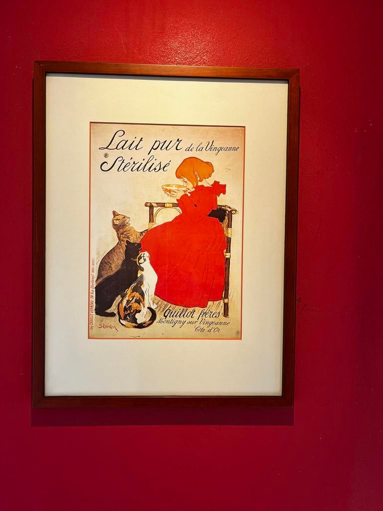 katten, Antiek en Kunst, Kunst | Litho's en Zeefdrukken, Ophalen of Verzenden