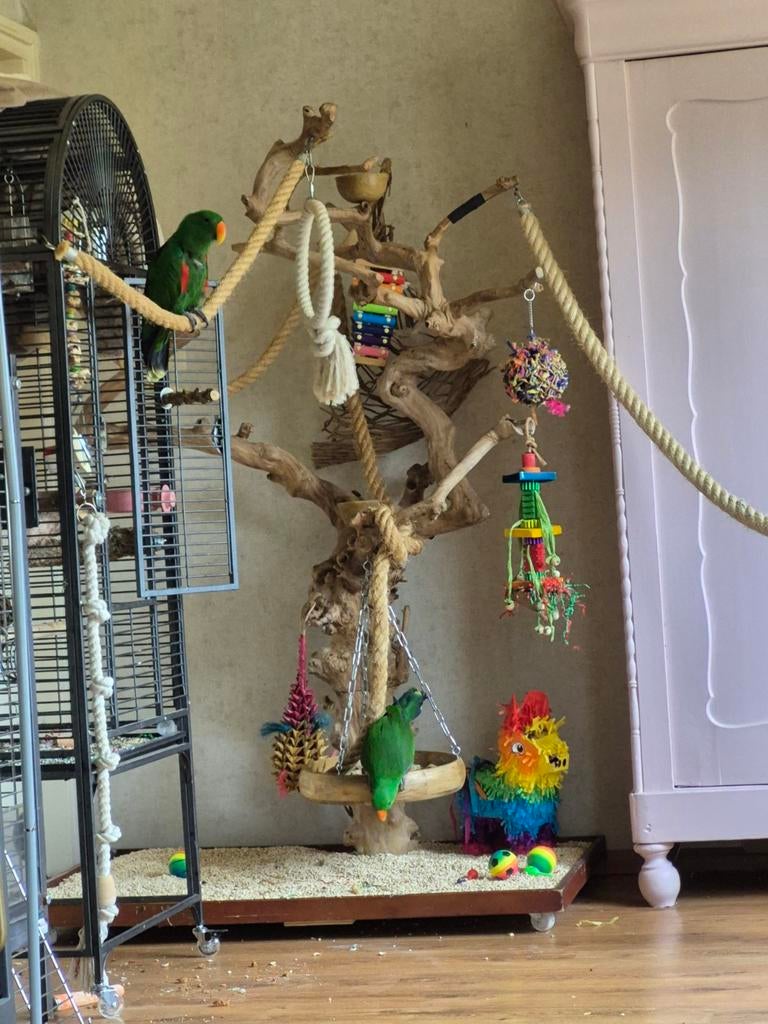 Javaboom, groot, papegaaien, Ophalen of Verzenden, Speelgoed