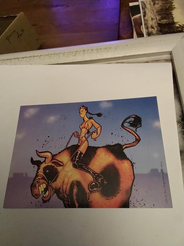 MICHIKO STEHRENBERGER "RODEO LADY RIDING BULL ", Ophalen of Verzenden, Voor 1920, Overige thema's