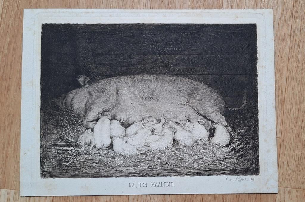 Ets Carel Lodewijk Dake - Na den maaltijd, Antiek en Kunst, Kunst | Etsen en Gravures, Ophalen of Verzenden