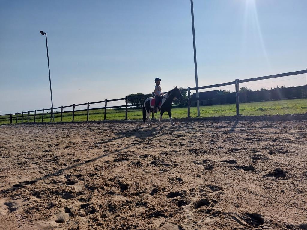 Stalling plekje vrij op kleinschalige privé lokatie, Dieren en Toebehoren, Stalling en Weidegang, Stalling, Weidegang