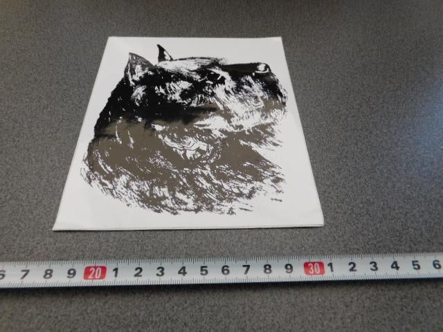 sticker Hond Hondenkop Bouvier *, Ophalen, Zo goed als nieuw