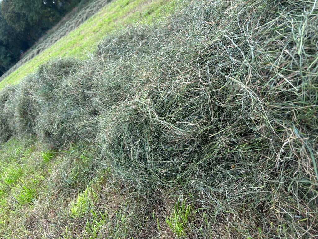 Barenburg Haymaster Kuil voordroog midibalen, Ophalen