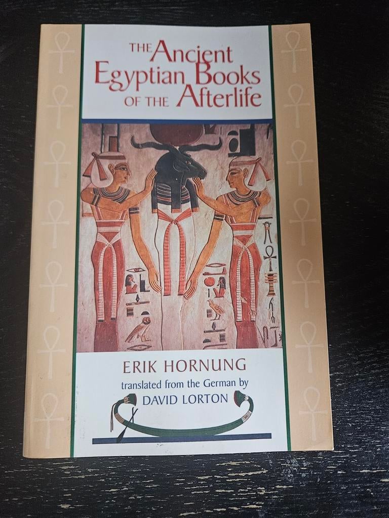 The Ancient Egyptian Books of the Afterlife - Engelstalig, Boeken, Esoterie en Spiritualiteit, Zo goed als nieuw, Ophalen of Verzenden