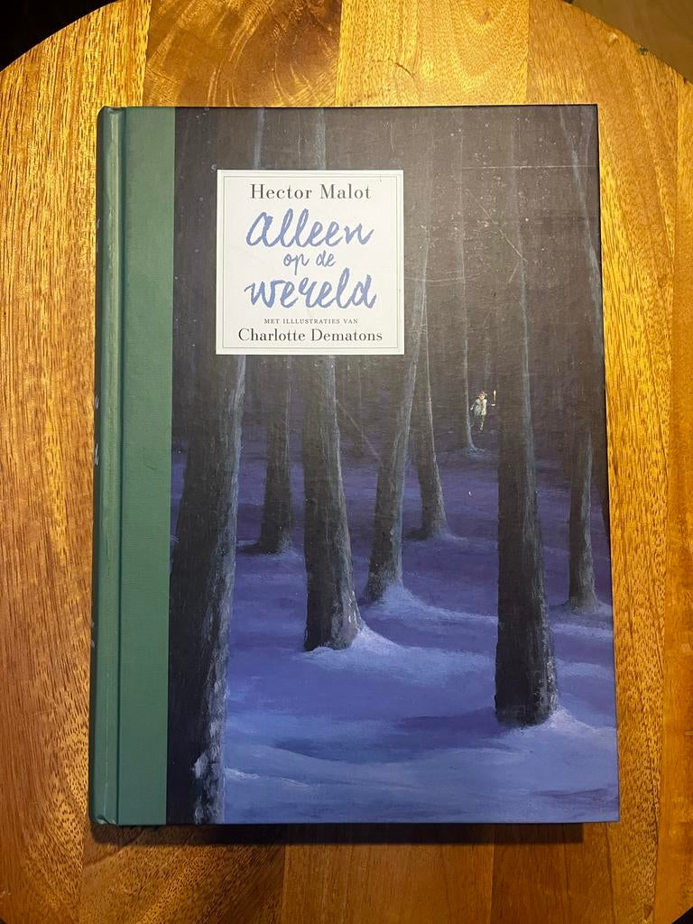 Alleen op de wereld - Hector Malot, Boeken, Literatuur, Ophalen of Verzenden, Zo goed als nieuw, Nederland