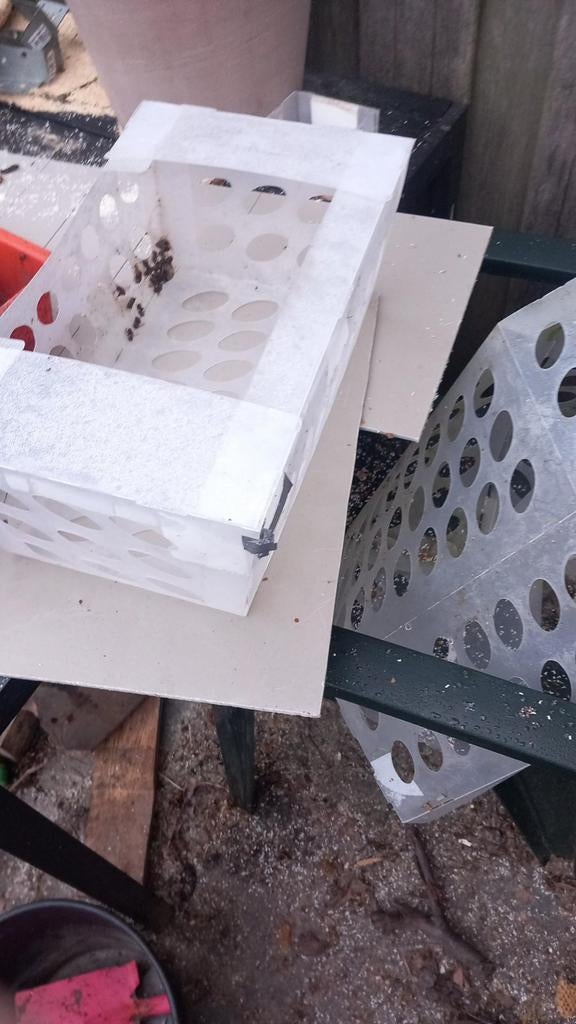 Hoornaar bescherming, Dieren en Toebehoren, Bijen