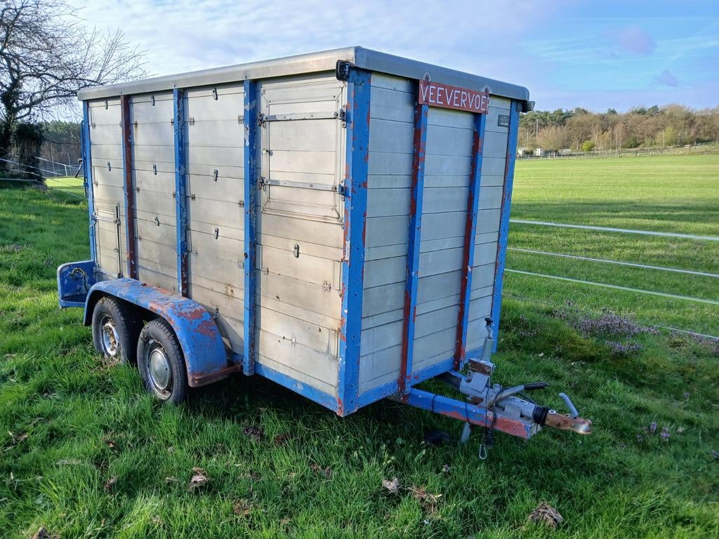 Veetrailer, Mannelijk, Geit