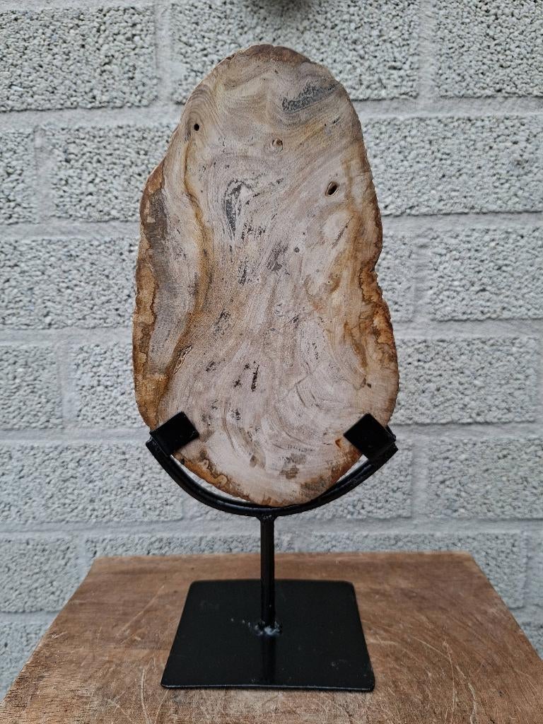 Versteend hout op standaard no 3, Ophalen of Verzenden, Mineraal