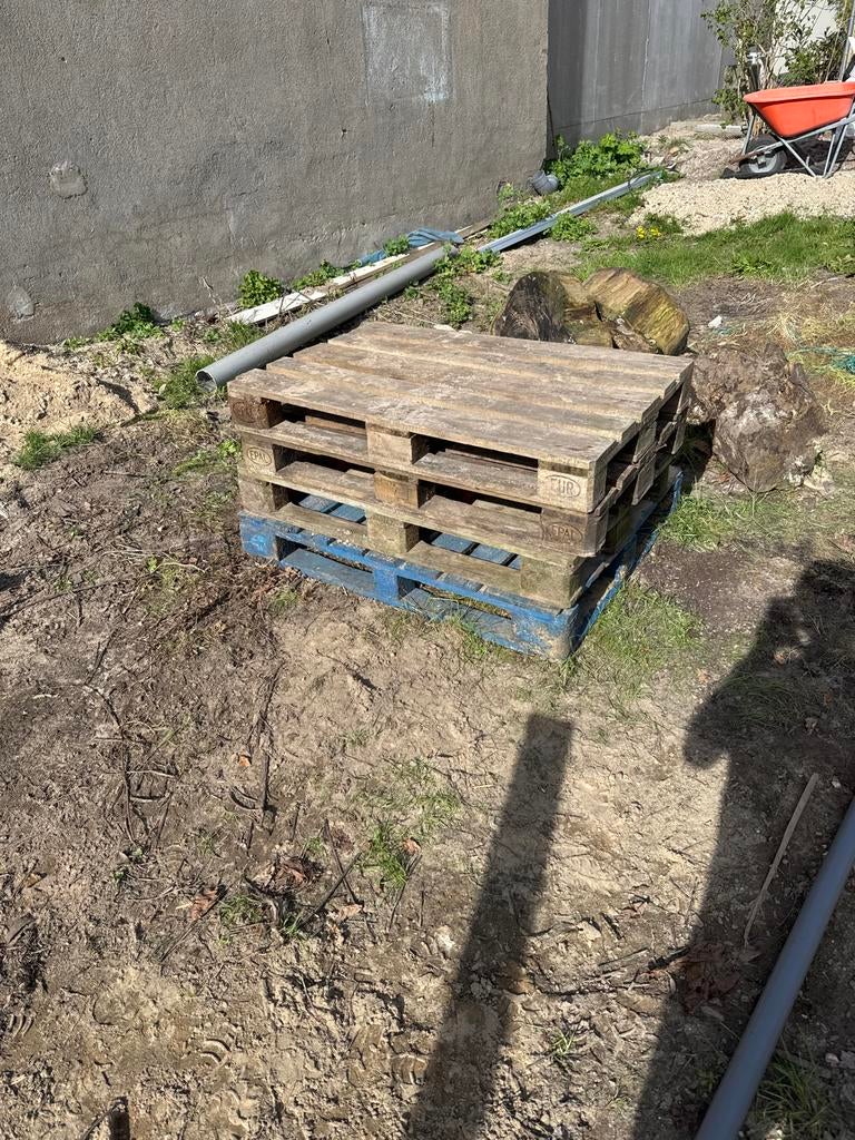 Houten pallets, Ophalen, Gebruikt, 50 mm of meer, Pallet