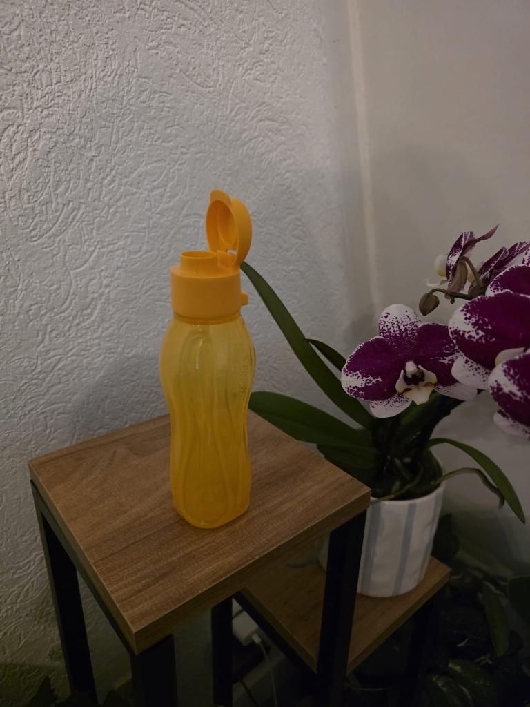 Tupperware waterflessen 310 ml, Ophalen of Verzenden, Nieuw, Overige typen