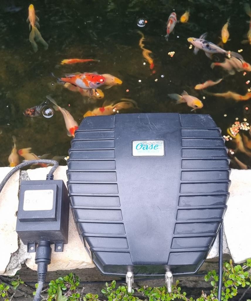 Oase aqua oxy 2000. Zie ook mijn andere advertenties., Ophalen of Verzenden, Vijverstofzuiger