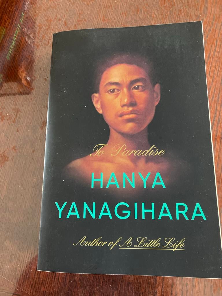 The paradise Hanya Yanagihara, Boeken, Ophalen of Verzenden, Zo goed als nieuw, Wereld overig