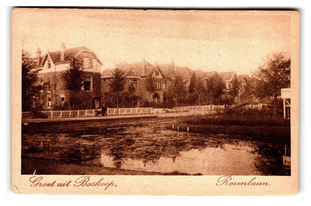 Boskoop, Rozenlaan. Nauta A 1572, Verzenden, Voor 1920, Ongelopen, Zuid-Holland