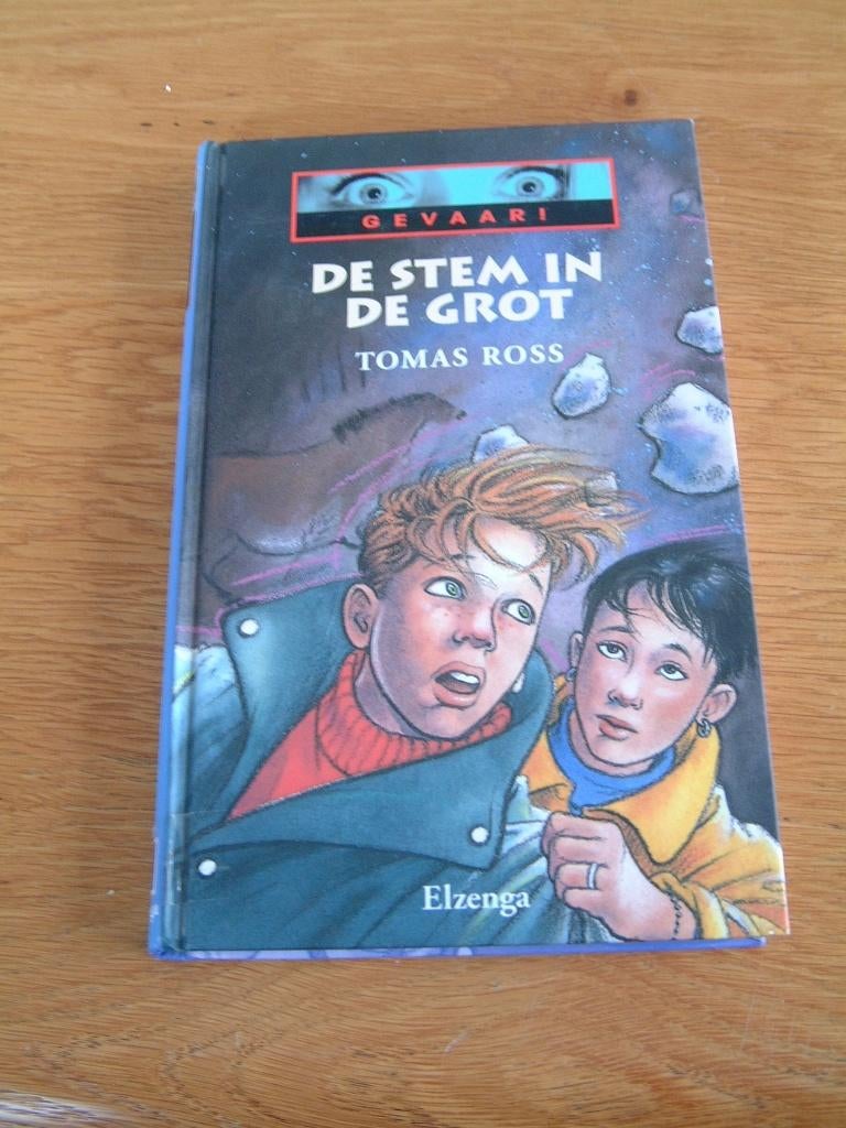 boek De stem in de grot van Tomas Ross, Ophalen of Verzenden, Zo goed als nieuw