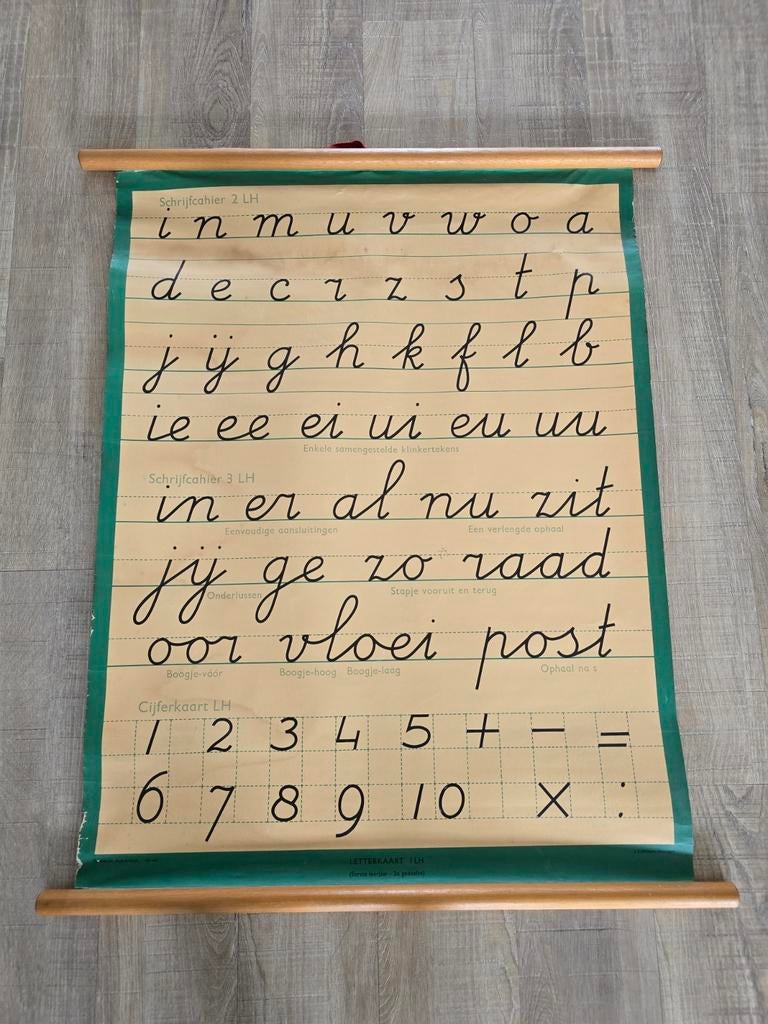 Prachtige antieke J.B. Wolters (Groningen) Schoolplaat €19, Antiek en Kunst, Antiek | Schoolplaten, Ophalen of Verzenden, Natuur en Biologie