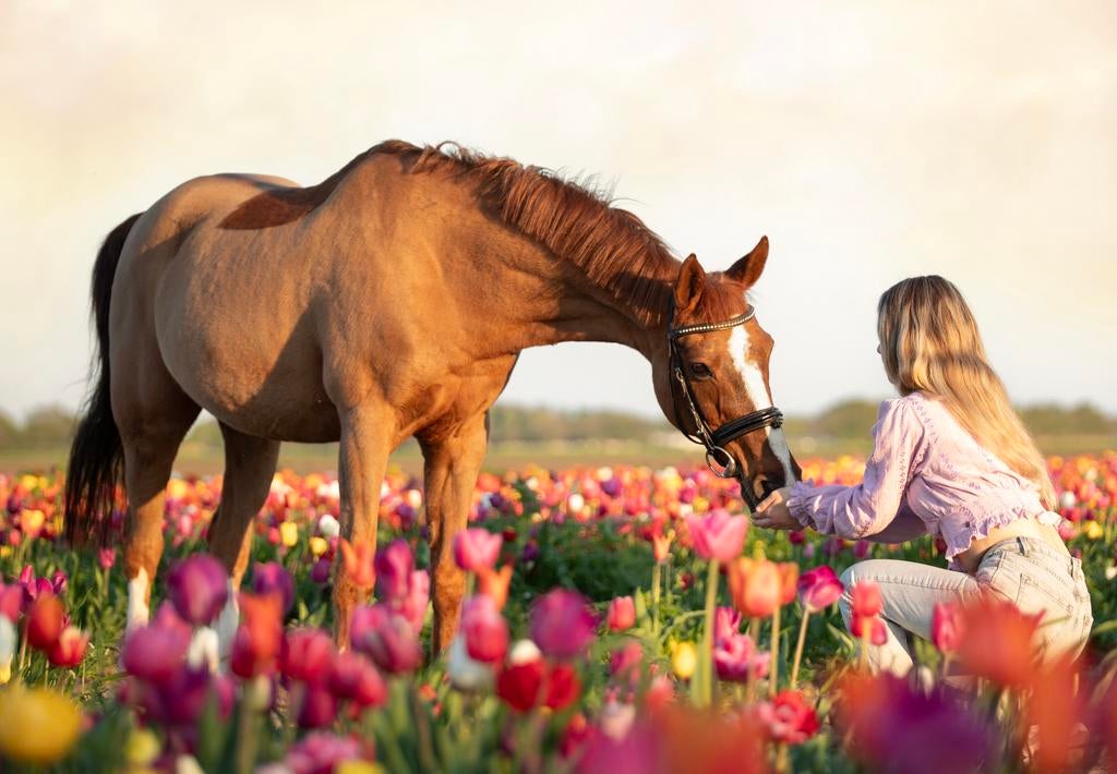 Weidemaatje aangeboden