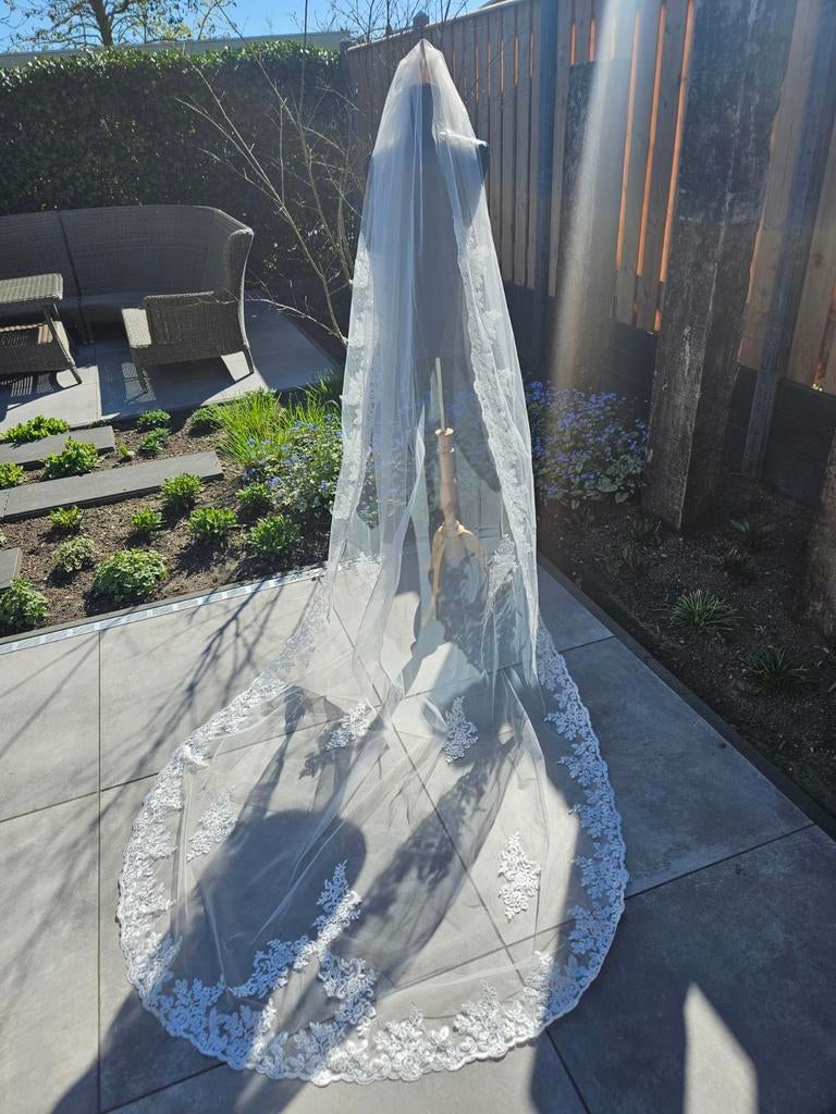 Nieuw prachtige sluier kant kathedraal cecile calanthe, Kleding | Dames, Ophalen of Verzenden, Nieuw, Wit, Accessoires