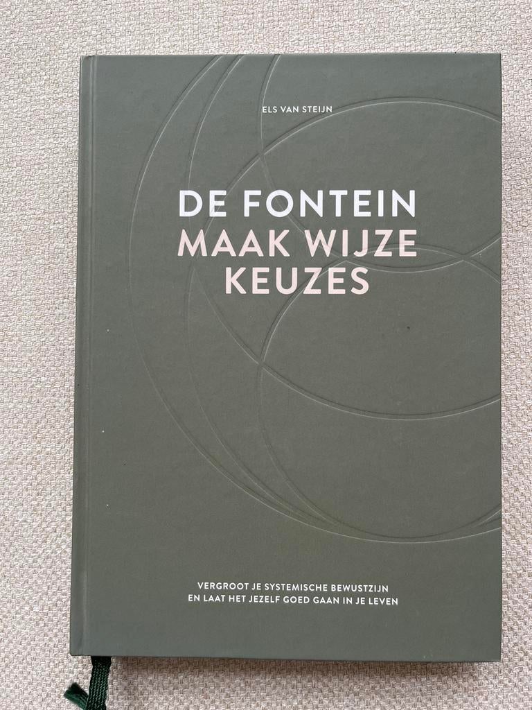 De Fontein: Maak Wijze Keuzes - Els van Steijn, Boeken, Ophalen of Verzenden, Zo goed als nieuw, Overige onderwerpen
