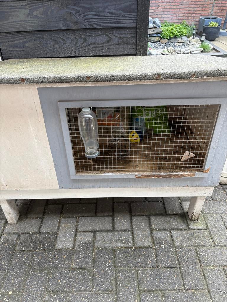 Konijnenhok, Dieren en Toebehoren, Knaagdieren en Konijnen | Hokken en Kooien, Ophalen, 110 cm of meer, 90 cm of meer, Konijn