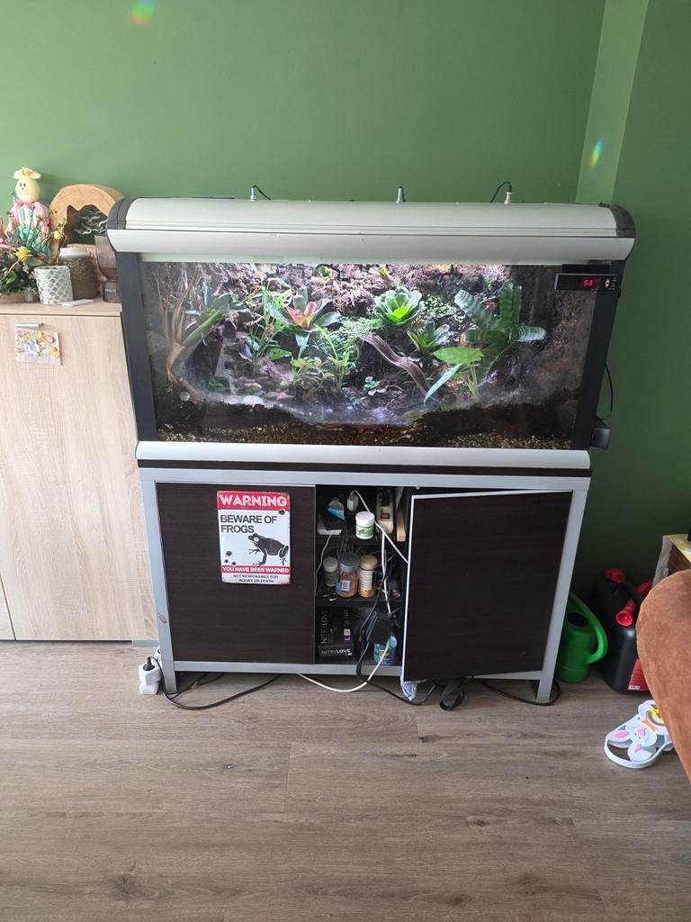 Paludarium 150x50x70 incl veel gifkikkers super compleet Frog - unknown for sale from Henk