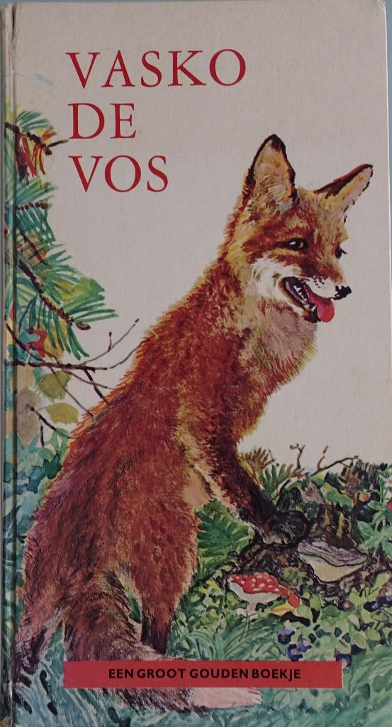 Vasko de Vos – Ole Risom, Boeken, Kinderboeken | Kleuters, Gelezen, Fictie algemeen, Gouden boekje, Ophalen of Verzenden