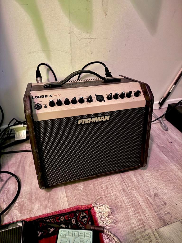 Fishman Loudbox Mini, Ophalen, Gebruikt, 50 tot 100 watt