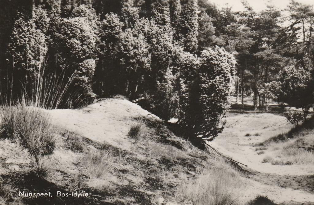 NUNSPEET Bos-Idylle, Verzamelen, Verzenden, 1960 tot 1980, Gelopen, Gelderland