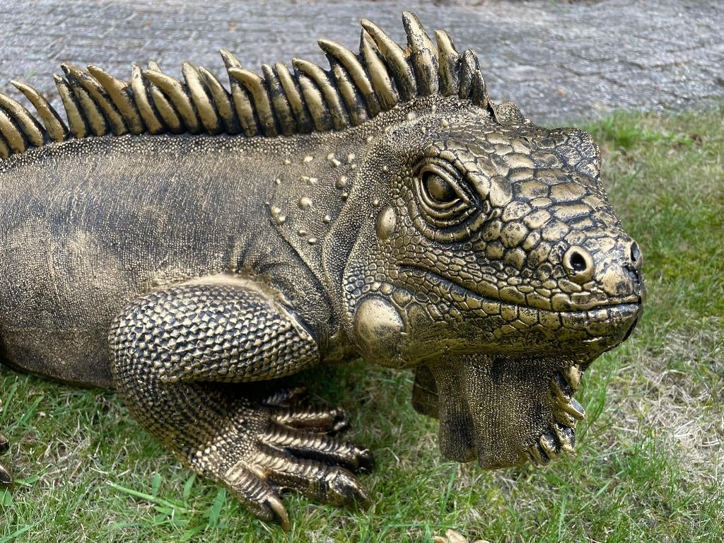 Leguaan, Brons, tuin, zwembad, vijver, salamander 100cm, Ophalen, Nieuw, Kunststof, Dierenbeeld