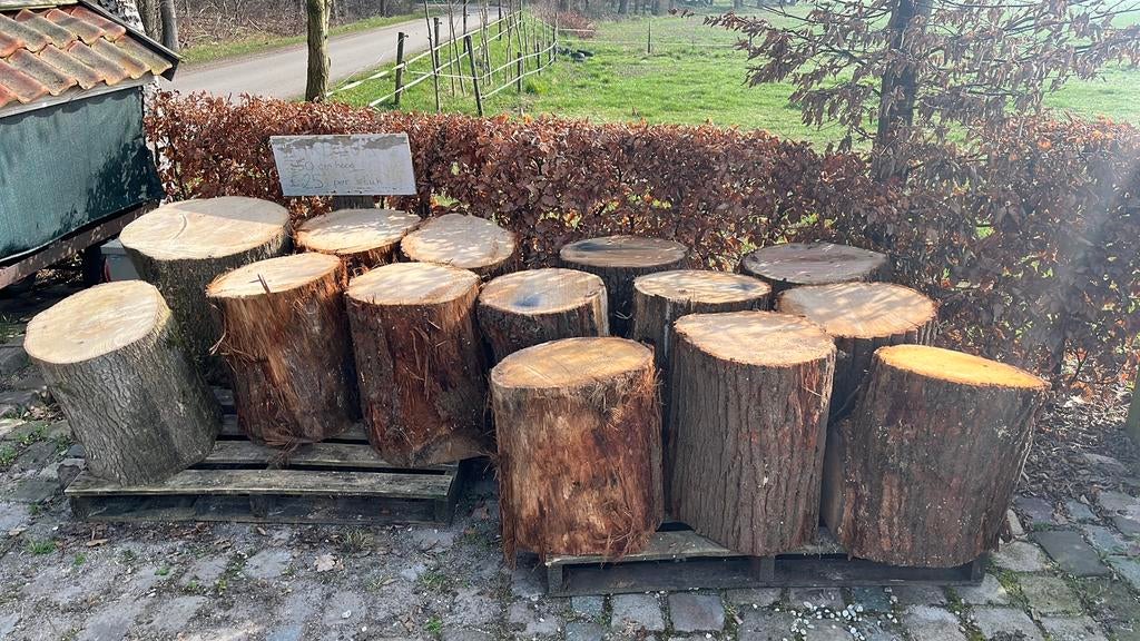 Hakblokken te koop, Tuin en Terras, 3 tot 6 m³, Ophalen, Eikenhout, Blokken