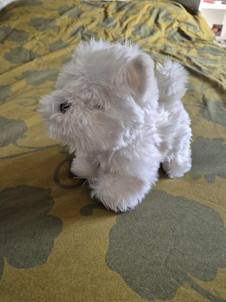 Pluche Terrier 20 cm, Ophalen of Verzenden, Zo goed als nieuw, Hond