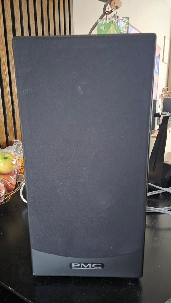 PMC TB1 Passieve Monitoren met Supra Classic kabels, Audio, Tv en Foto, Luidsprekers, Ophalen, 120 watt of meer, Front, Rear of Stereo speakers