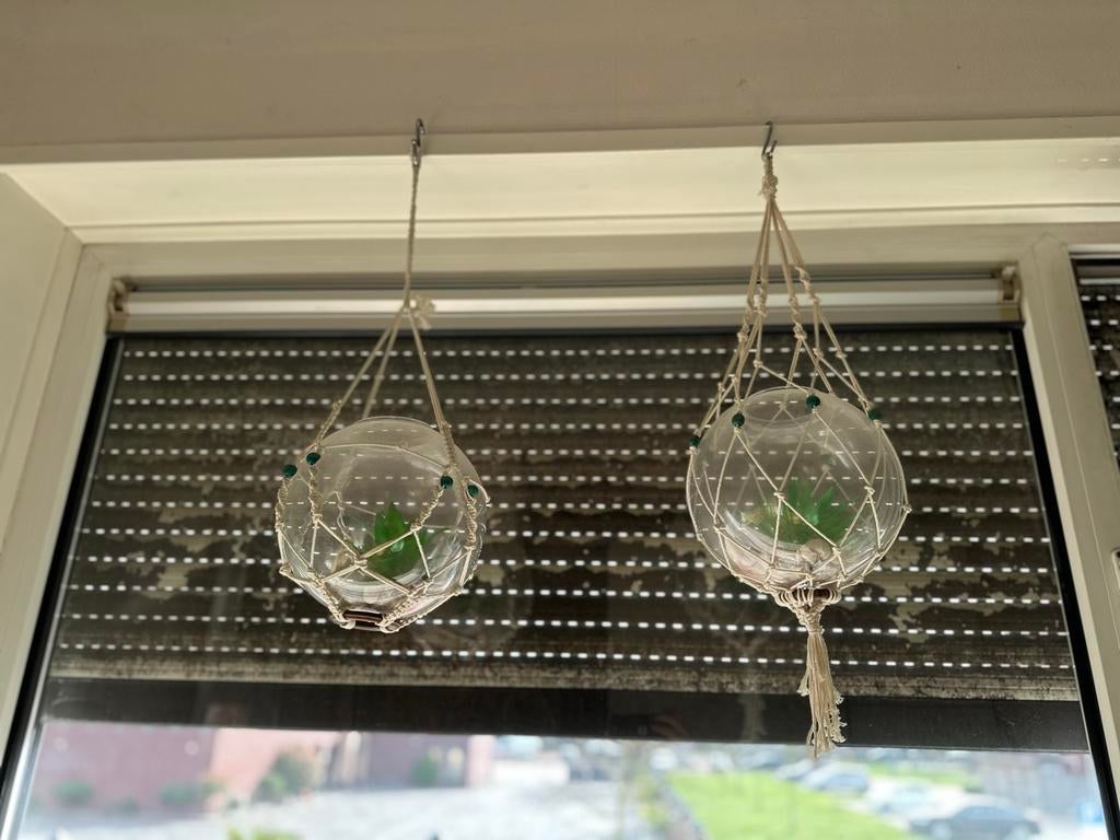 2x Macramé Glazen Bollen met Kunstplanten, Ophalen, Zo goed als nieuw