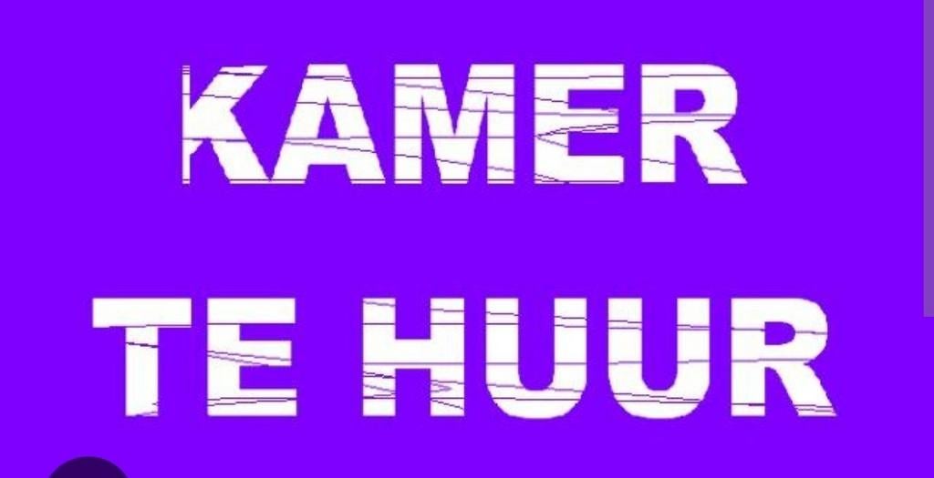 Gezocht kamer of huurhuis, Huizen en Kamers