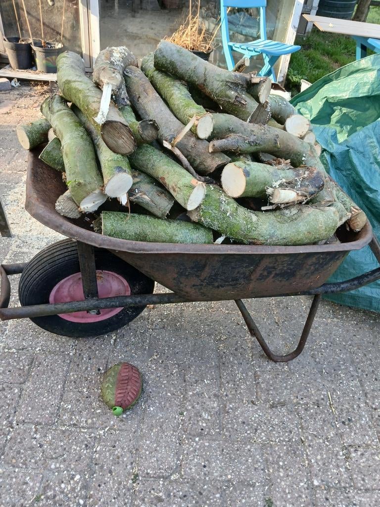 Wilgenhout, Minder dan 3 m³, Ophalen of Verzenden