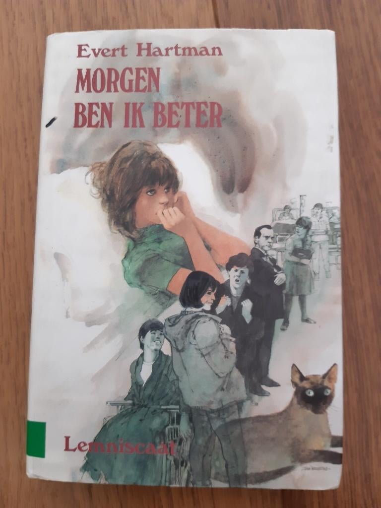 Morgen ben ik beter Evert Hartman, Boeken, Ophalen of Verzenden, Gelezen, Evert Hartman