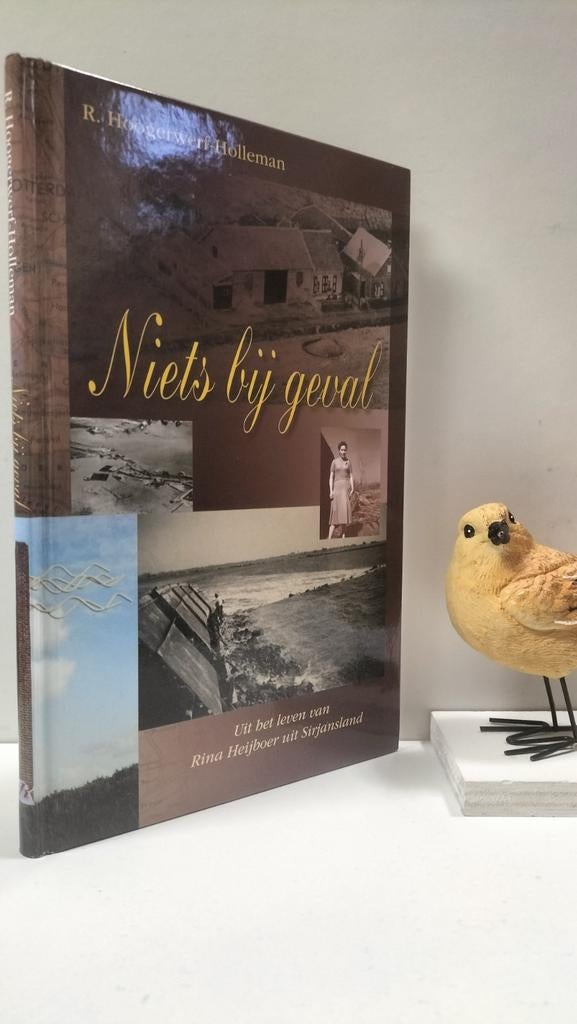 Hoogerwerf-Holleman, R.; Niets bij geval, Ophalen of Verzenden, Gelezen, Christendom | Protestants