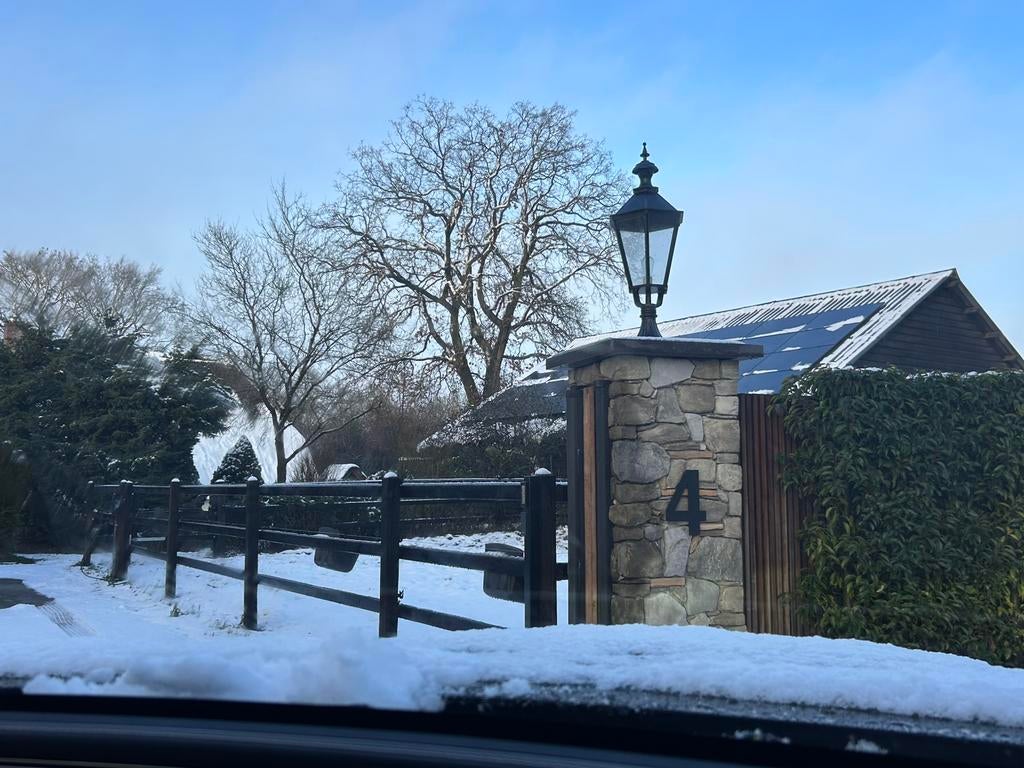 Paarden Oppas Gezocht op de VELUWE 🌳🏡, Vacatures