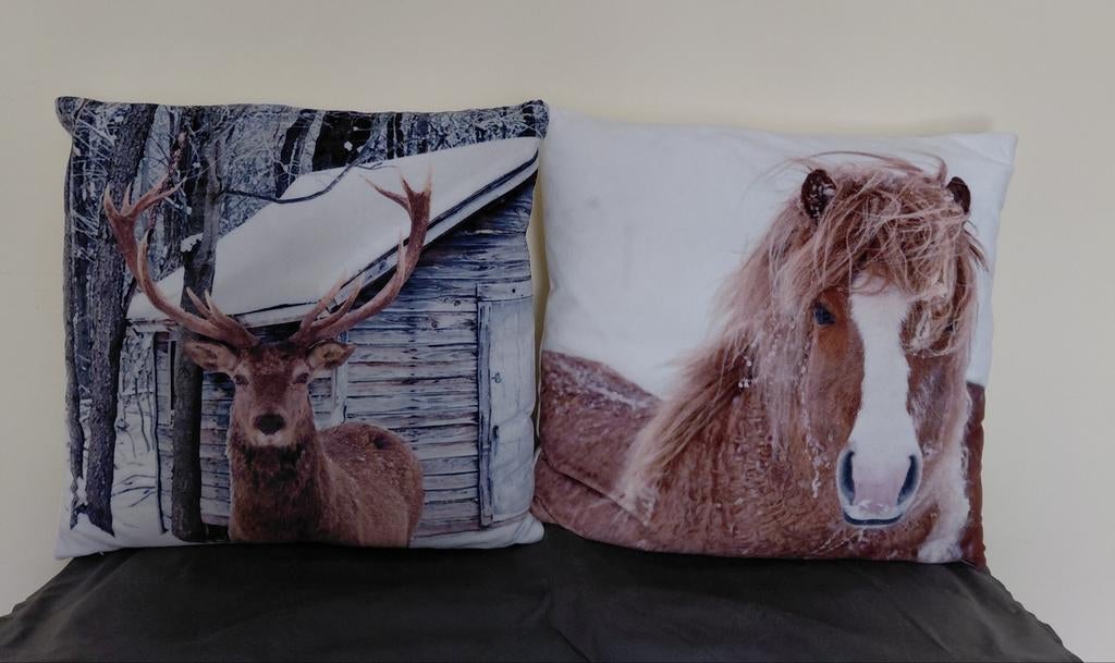 2 leuke winterse kussentjes, Huis en Inrichting, Woonaccessoires | Kussens, Ophalen of Verzenden, Vierkant