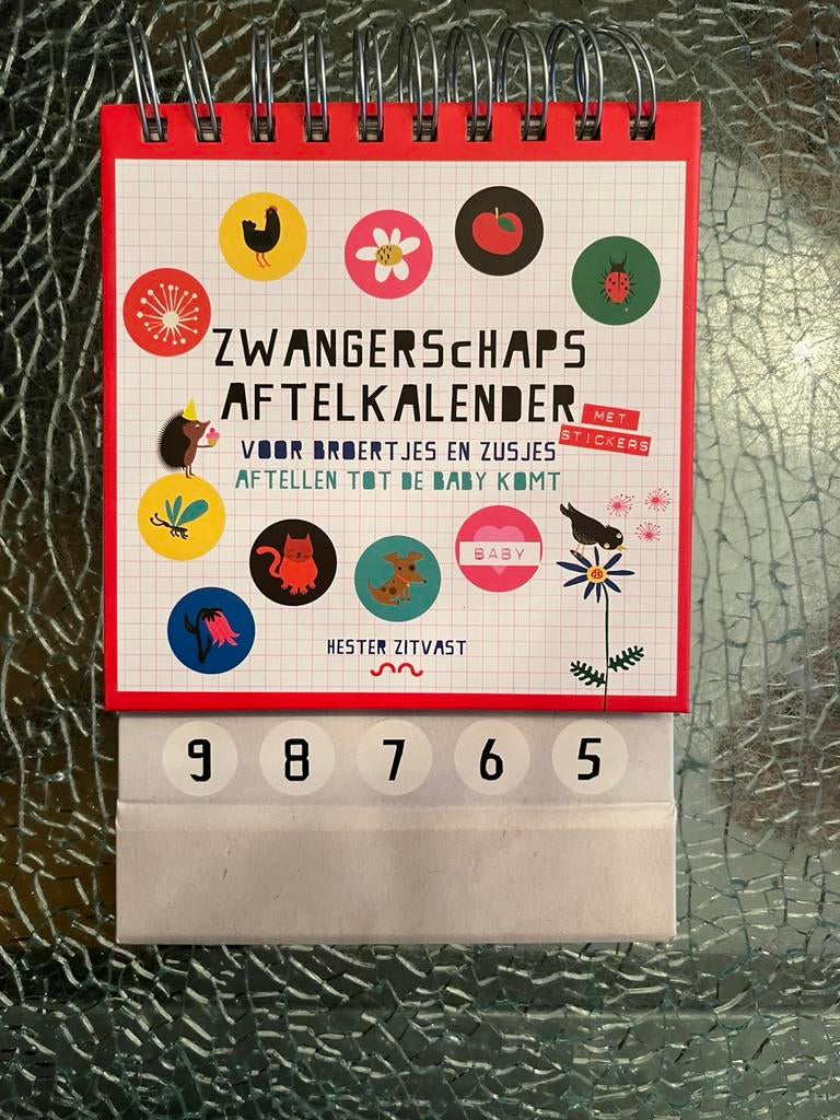Hester Zitvast - Zwangerschaps aftelkalender, Ophalen, Zo goed als nieuw, Hester Zitvast