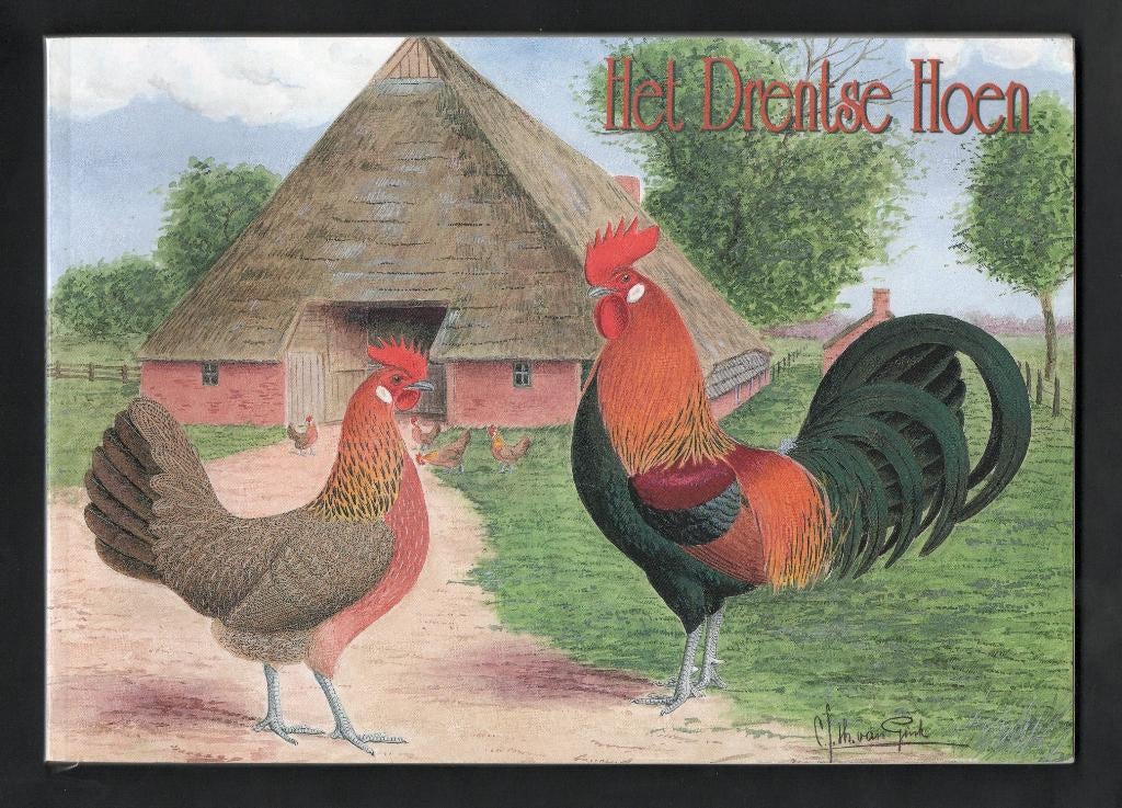 Boek Het Drentse Hoen, Kippen. Van Gink., Ophalen of Verzenden, Zo goed als nieuw