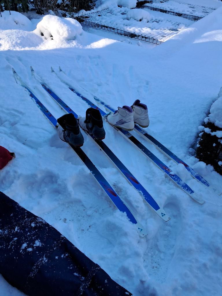 Langlaufers fischer, Ophalen, Ski's, Fischer, Gebruikt