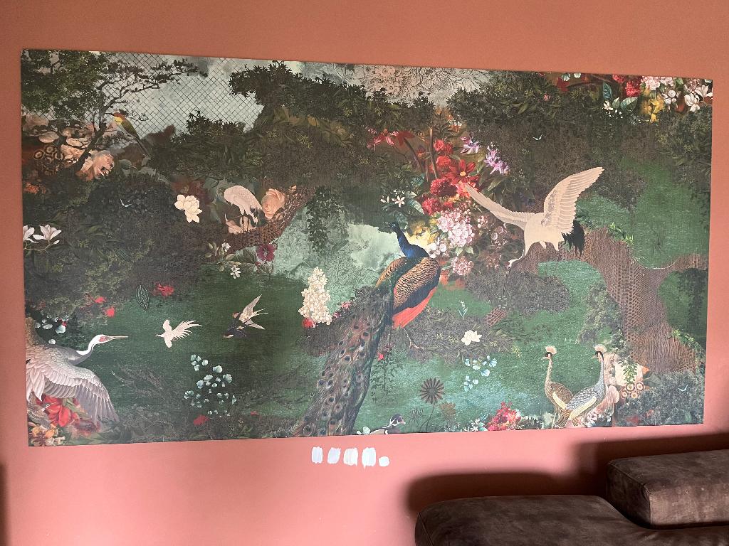 Wandpaneel met Fotobehang vogels pauw, Ophalen, Hout, Meerkleurig, Zo goed als nieuw