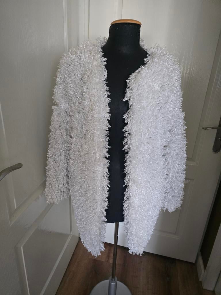 Wit vest, Ophalen of Verzenden, Maat 38/40 (M), Wit