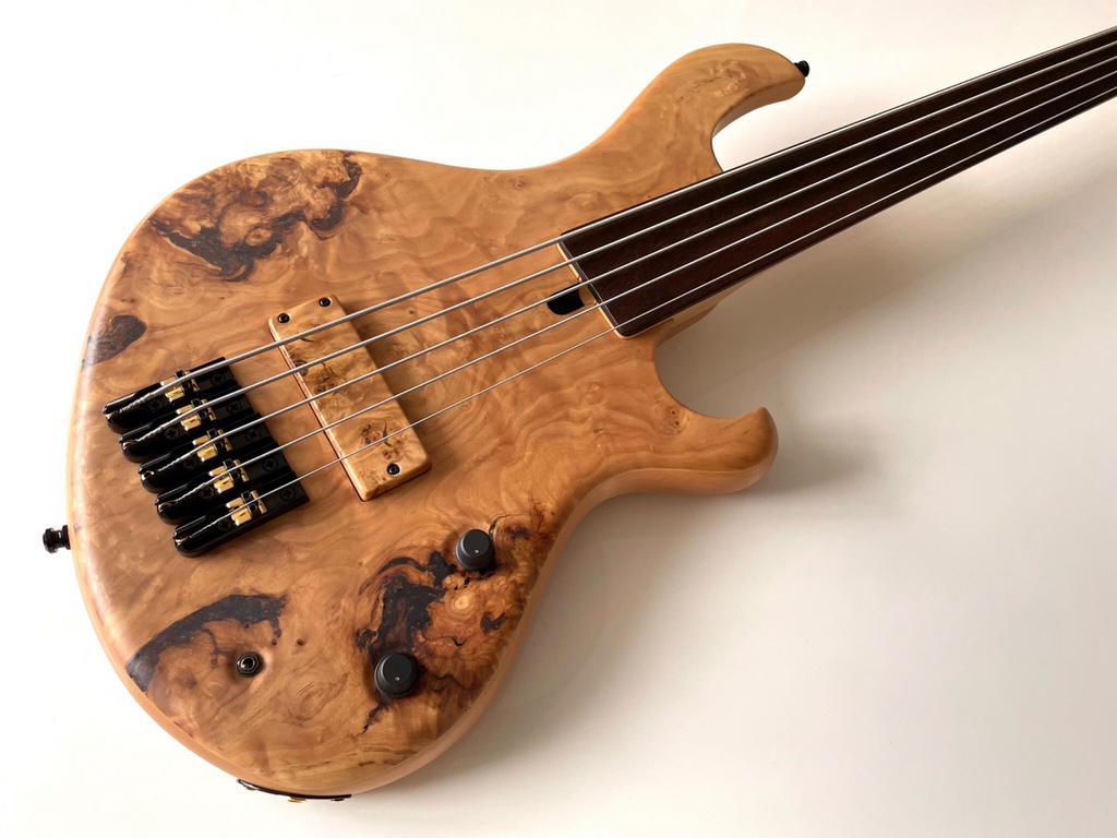Maruszczyk Frog Omega fretless 5-string, Ophalen, Zo goed als nieuw