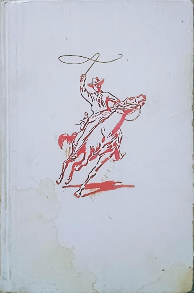 Arendsoog Knapt Het Op, Boeken, Gelezen, J. Nowee., Ophalen of Verzenden, Fictie