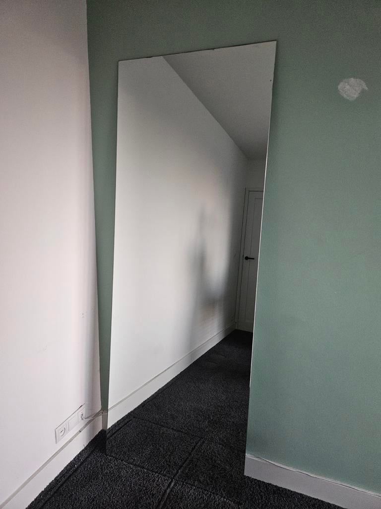 Grote spiegel 204x75cm, Huis en Inrichting, Woonaccessoires | Spiegels, Ophalen, Rechthoekig, Minder dan 100 cm