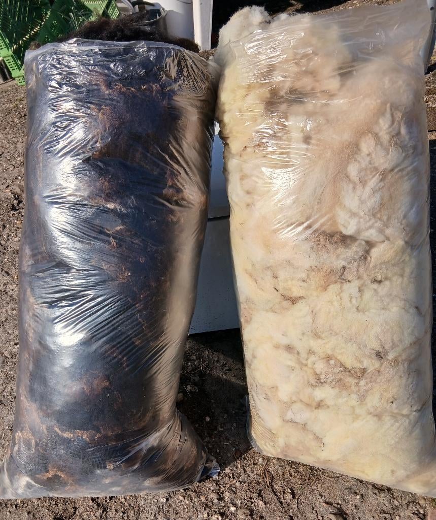Schapenwol ongewassen, Ophalen, Nieuw