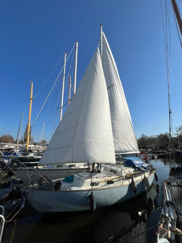 Zeiljacht Carena 32 - Klassieke Tourjacht, Watersport en Boten, Kajuitzeilboten en Zeiljachten, Ophalen, Gebruikt, Staal, Diesel